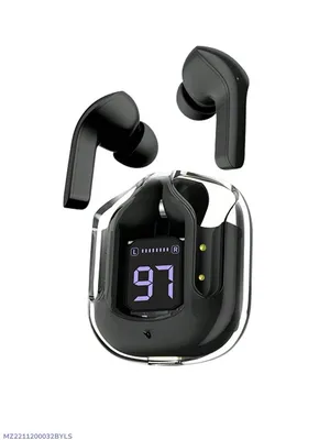 Black Earbuds