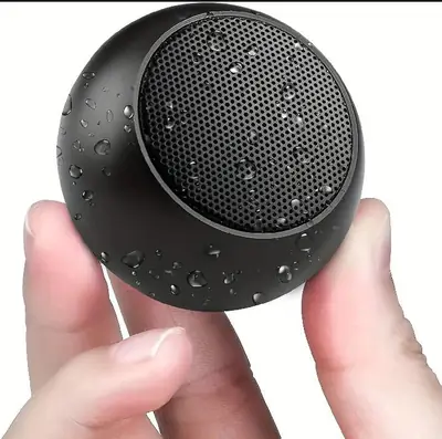 Speaker
