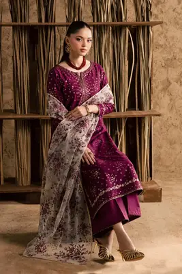 Stunning Embroidered Cotton Suit - 3 Pcs Set  thumbnail 2