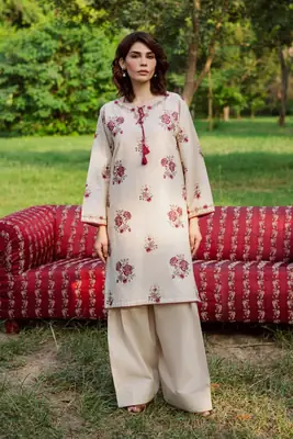 Elegant Embroidered Shirt And Trouser Set - 2 Pcs 
