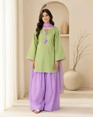 3 Pcs Women’s Stitched Cotton Plain Suit