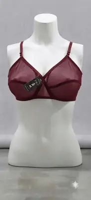 Whimsimart Collection Full Net Bra for Women – Premium Quality Breathable Soft Mesh Bra | Sizes 32-42 thumbnail 2