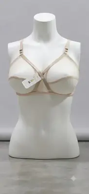 Whimsimart Collection Full Net Bra for Women – Premium Quality Breathable Soft Mesh Bra | Sizes 32-42 thumbnail 3