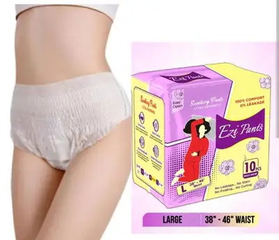 Ezi Pants (Large Size)-10Pads