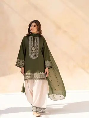 3 Pcs Women's Stitched Cotton Embroidered Suit thumbnail 6