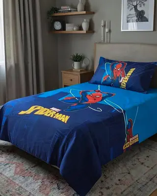 2 Pcs Cotton Printed Single Bedsheet