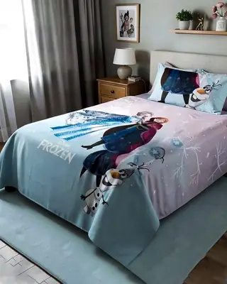 2 Pcs Cotton Printed Single Bedsheet