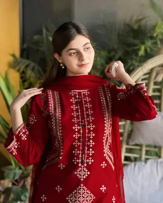 3 Pcs Women's Stitched Cotton Embroidered Suit thumbnail 2