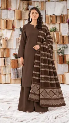 3 Pcs Women's Unstitched Plain Suit Faincy Whool Shawl Brown