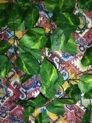 Artificial Plant Leaves bail with 10 ft LED Fairy Lights Battery Operated and 7 ft Bail Leaf Lights for room decoration thumbnail 2