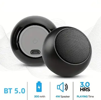 Speaker