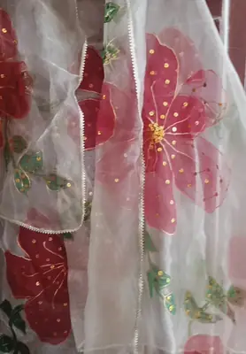 1 Pc Women's Stitched Dupatta