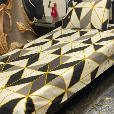 2 Pcs Cotton Printed Single Bedsheet