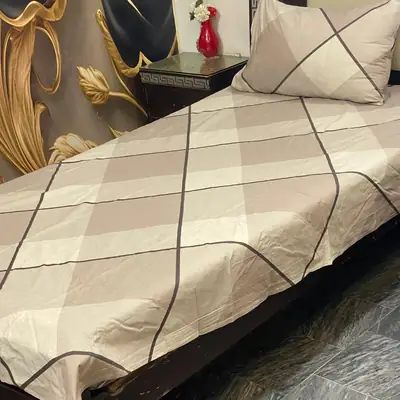 2 Pcs Cotton Printed Single Bedsheet