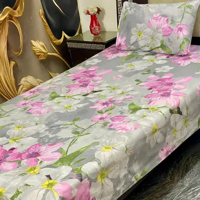 2 Pcs Cotton Printed Single Bedsheet