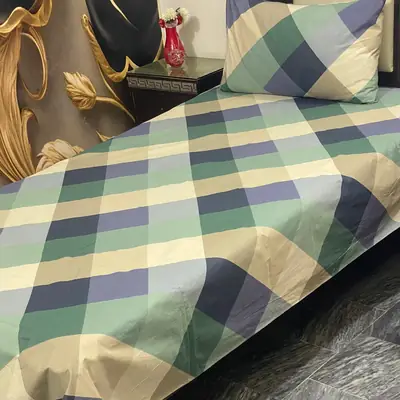 2 Pcs Cotton Printed Single Bedsheet