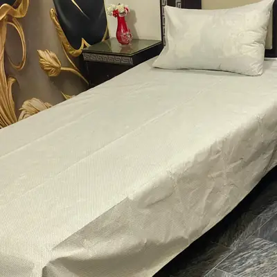 2 Pcs Cotton Printed Single Bedsheet