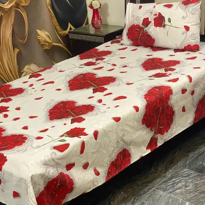 2 Pcs Cotton Printed Single Bedsheet