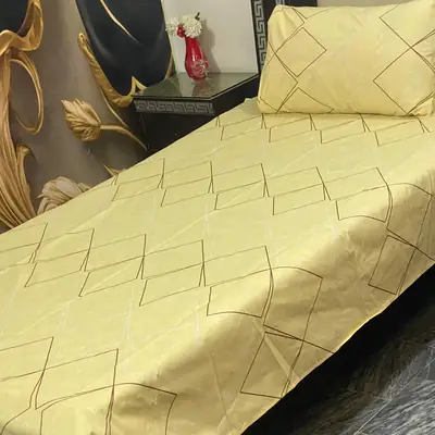 2 Pcs Cotton Printed Single Bedsheet