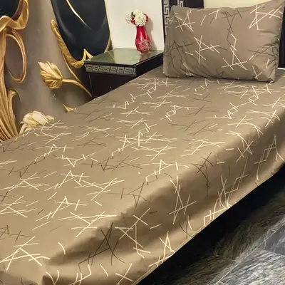 2 Pcs Cotton Printed Single Bedsheet