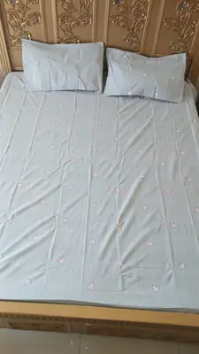 3 Pcs Cotton Printed Double Bedsheet