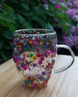 Insulated Cups