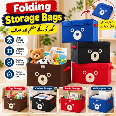 (Pack of 2) Foldable Storage Bags for Home Organization