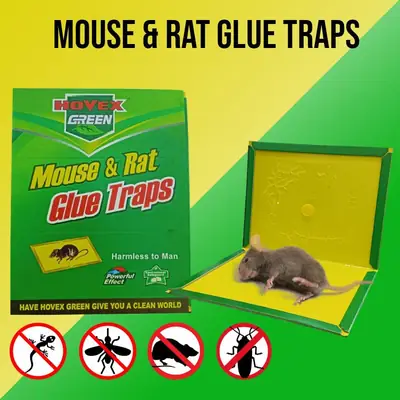 Strong Mouse Sticking Board | Green Mouse Trap Board
