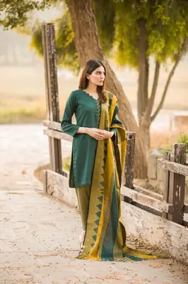 3 Pcs Women's Unstitched Plain Suit