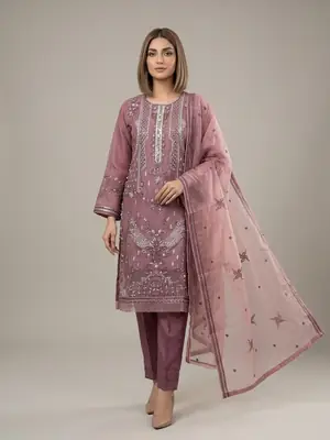 3 Pcs Women's Stitched Organza Hand Work Suit