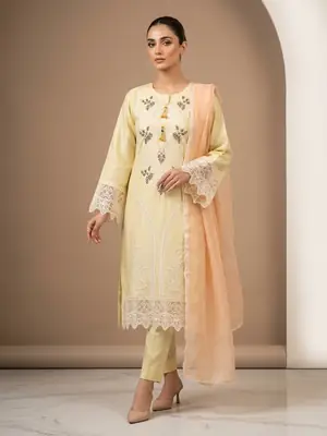 3 Pcs Women's Stitched Cotton Embroidered Suit