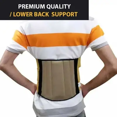 Back Support Belt