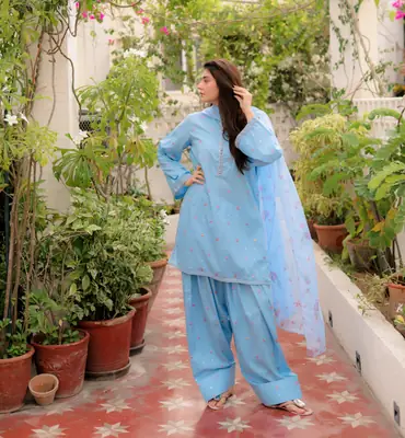 3 Pcs Women's Stitched Cotton Embroidered Suit