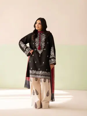 3 Pcs Women's Stitched Cotton Embroidered Suit thumbnail 2