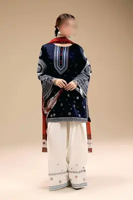 3 Pcs Women's Unstitched Embroidered Suit