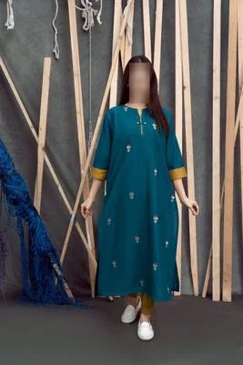 2 Pcs Women's Unstitched Embroidered Suit