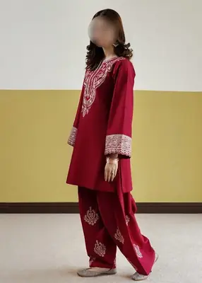 2 Pcs Women's Unstitched Embroidered Suit thumbnail 5