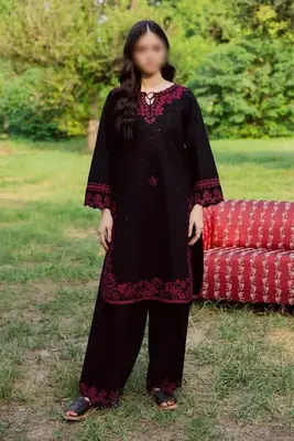 2 Pcs Women's Unstitched Embroidered Suit