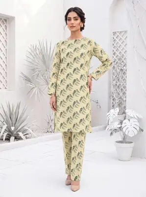 2 Pcs Women's Unstitched Printed Suit