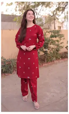 2 Pcs Women's Unstitched Embroidered Suit