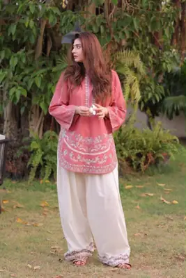 2 Pcs Women's Unstitched Embroidered Suit