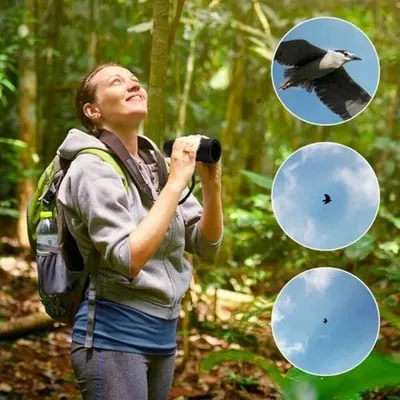 Bushnell Monocular Image Magnification 16X Objective Lens Diameter 52mm Focus System Eyepiece System Rotating Around Prism System Roof Eye relief 18mm Exit Pupil 5.2mm Field of view 22 degree thumbnail 5
