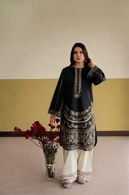 2 Pcs Women's Stitched Cotton Embroidered Co-Ord Set