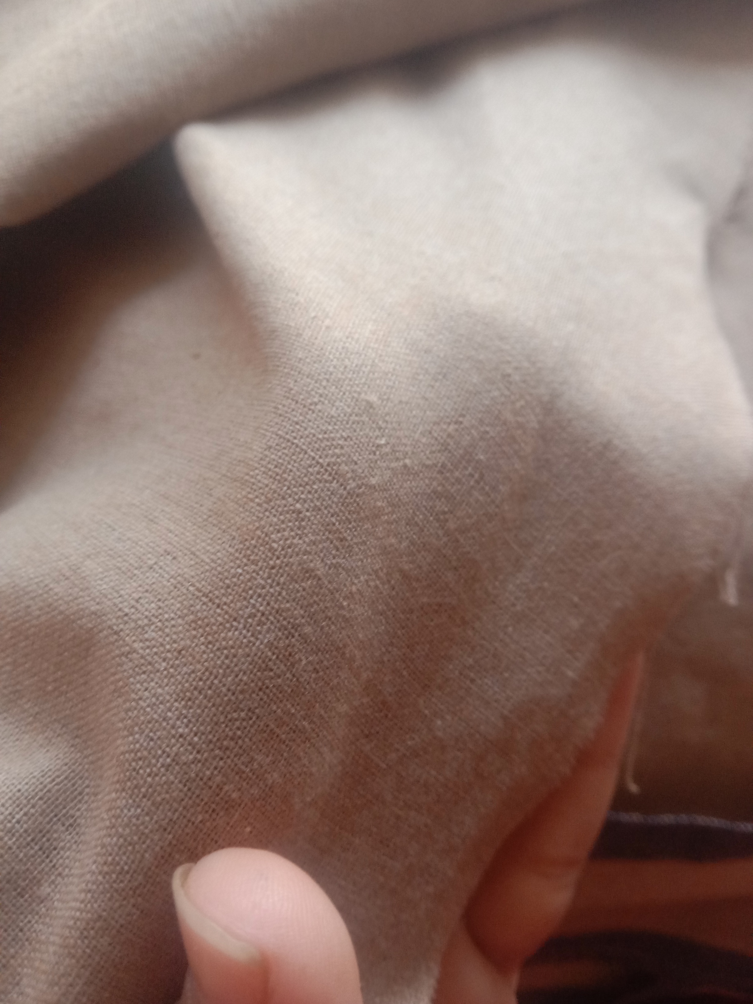insiaS collection review 3