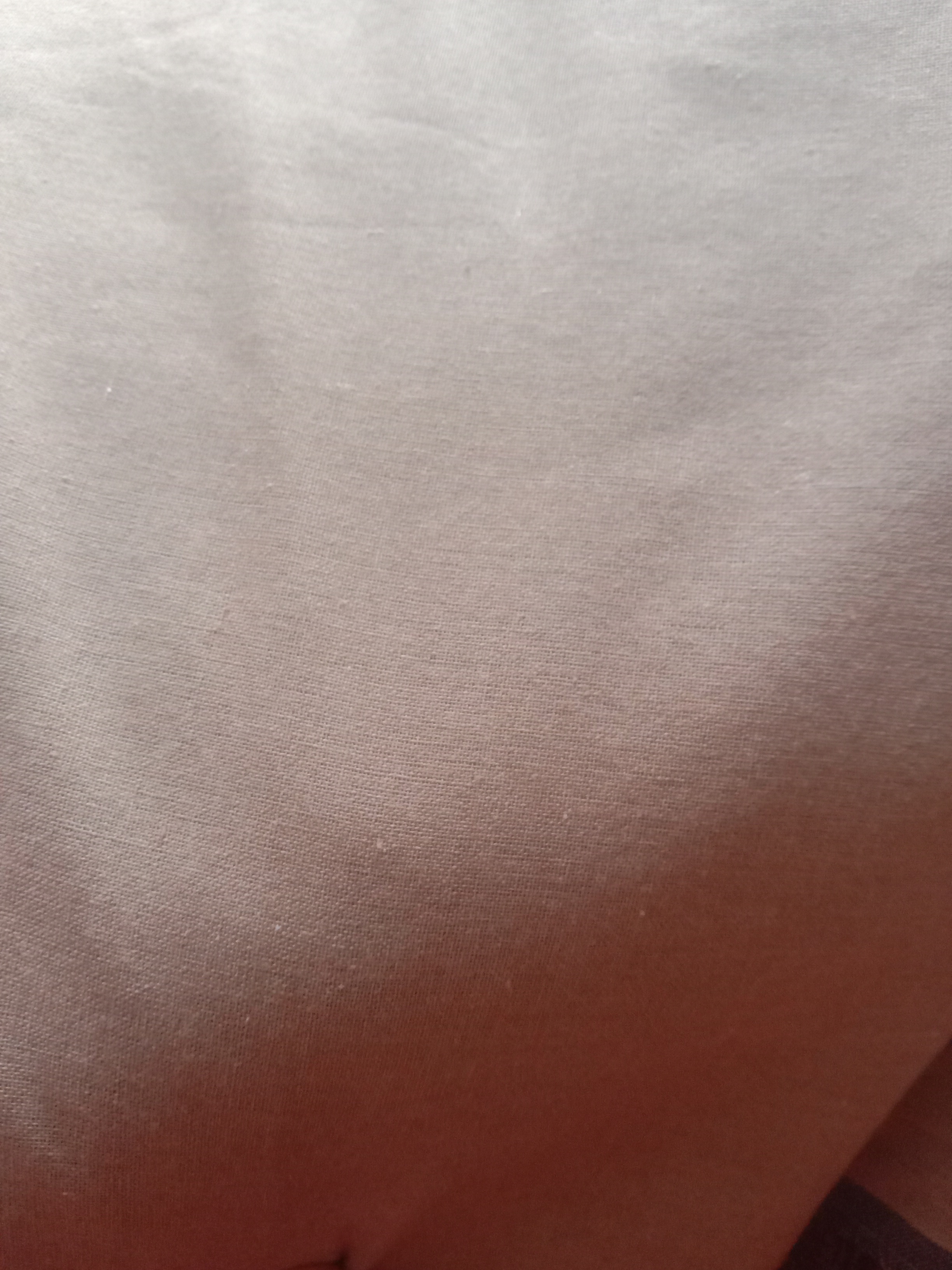 insiaS collection review 1