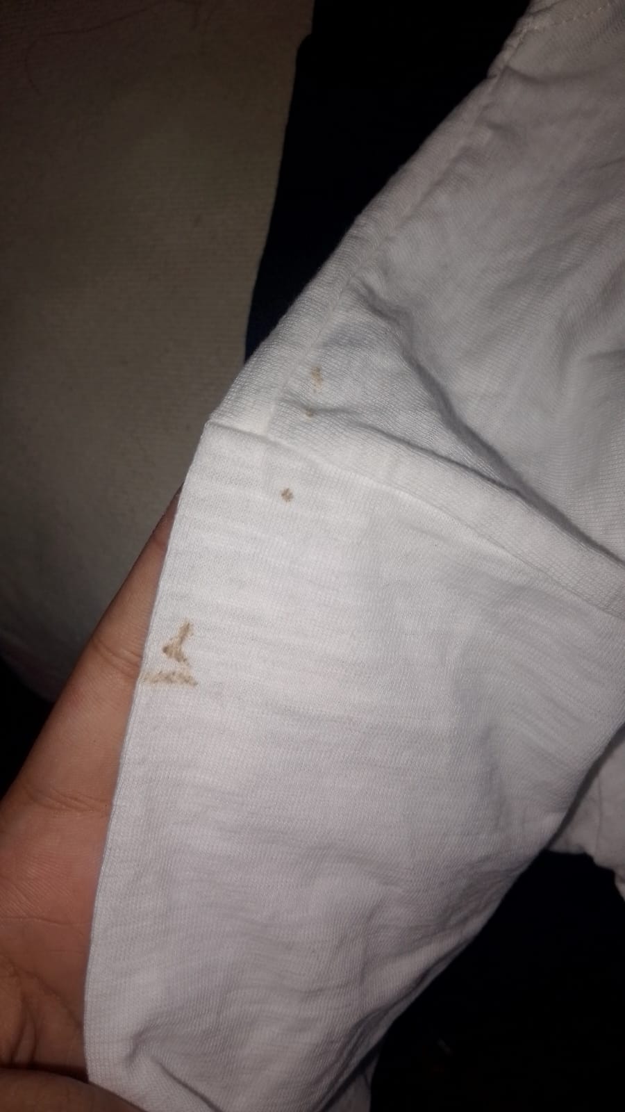 shoppe nest store  review 1