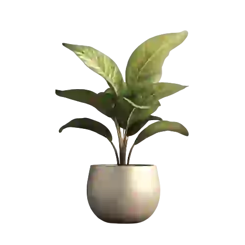 Artificial Plants & Flowers