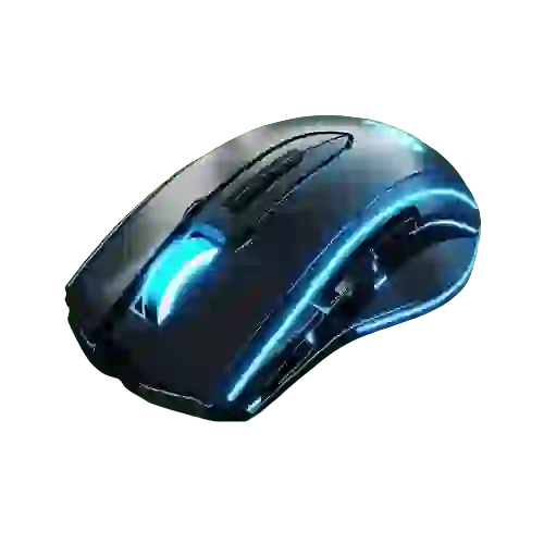 Computer Accessories