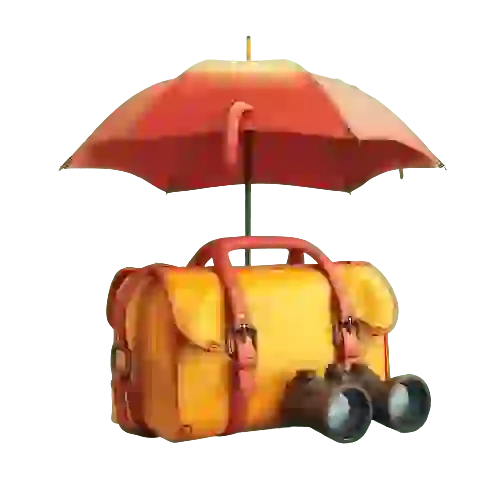 Travel Accessories