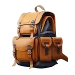 Travel Bags